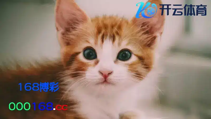 解码猫进家生小猫现象的意义