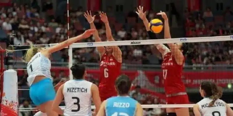 FIVB 世界杯的历史-开云体育